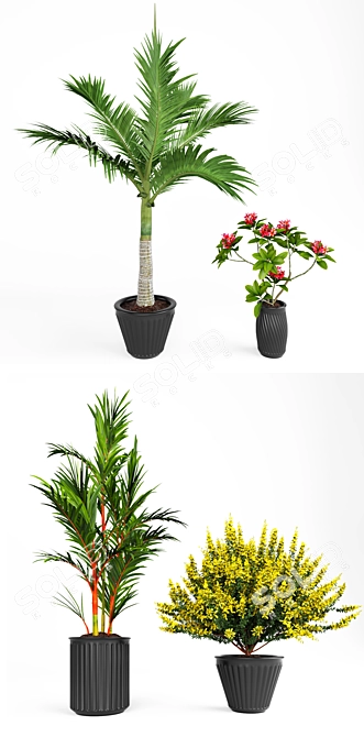 Tropical Plant Collection: V-Ray Models 3D model image 2