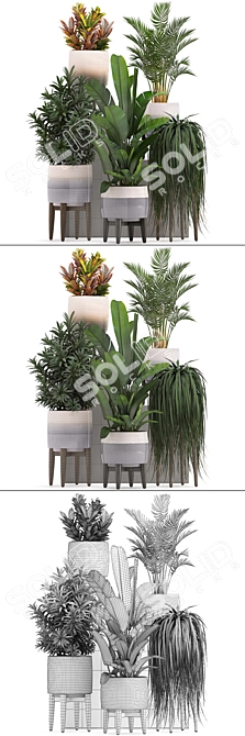 Exotic Plant Collection: Oleander, Howea Forsteriana, Kentia & More! 3D model image 3