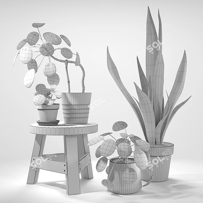 Green Delight: Pilea & Sansevieria Set 3D model image 2