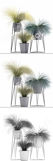 Exotic Tussock Grass Collection 3D model image 3