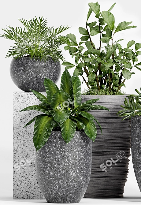 Decorative Plant Set: Enhance Your Space 3D model image 2