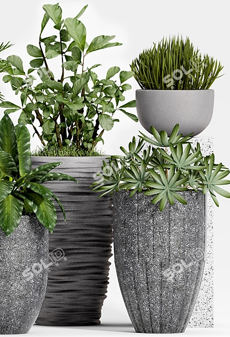 Decorative Plant Set: Enhance Your Space 3D model image 3