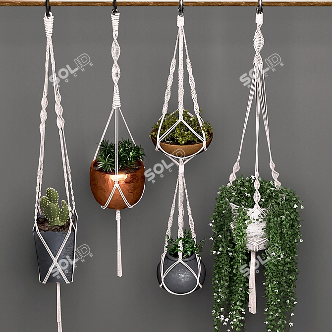 Stylish Hanging Pot Set 3D model image 1