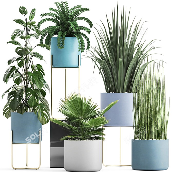 Exotic Plant Collection: Monstera, Fern, Equisetum & More 3D model image 1