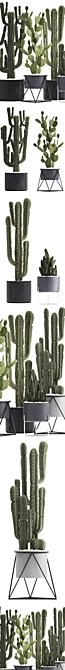 Exotic Cactus Collection: 7 Unique Varieties 3D model image 2