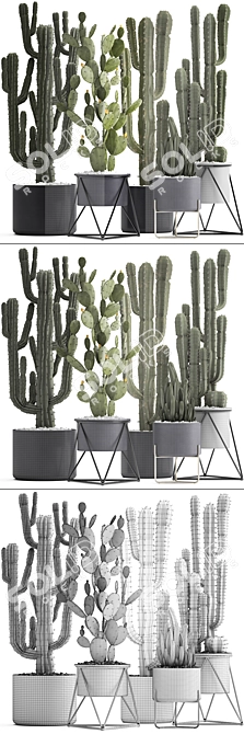 Exotic Cactus Collection: 7 Unique Varieties 3D model image 3