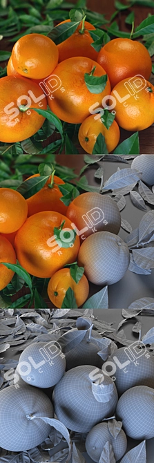 Orange Sensation: A Zesty Delight 3D model image 2