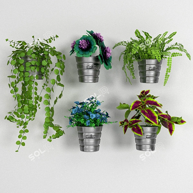 Blooming Beauty: 5 Flower Pots on Wall 3D model image 3