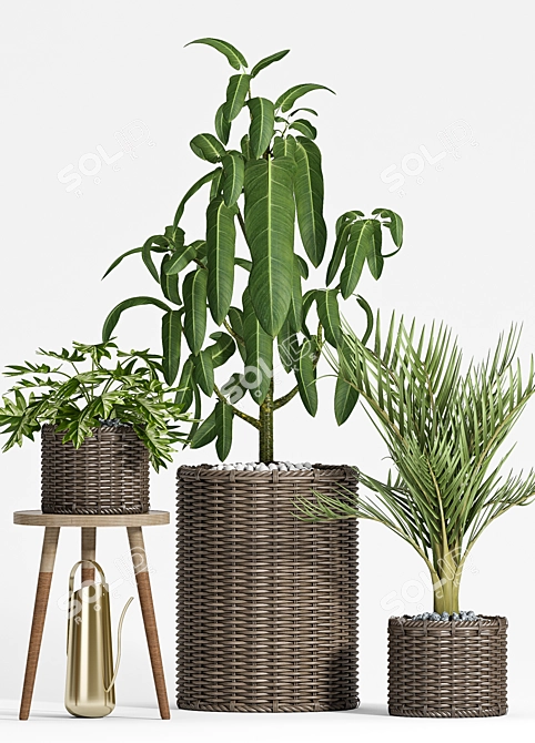 Green Oasis Zen Garden Set 3D model image 2