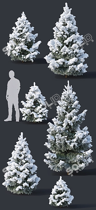  Snowy Fir Trees - 6 Sizes 3D model image 2