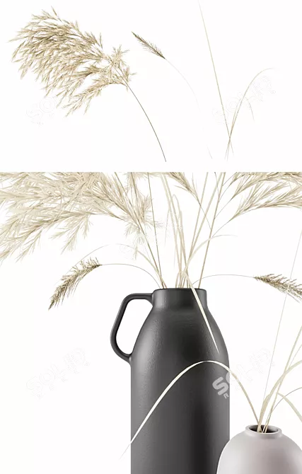 Elegant Vases Set with Pampas Grass 3D model image 2