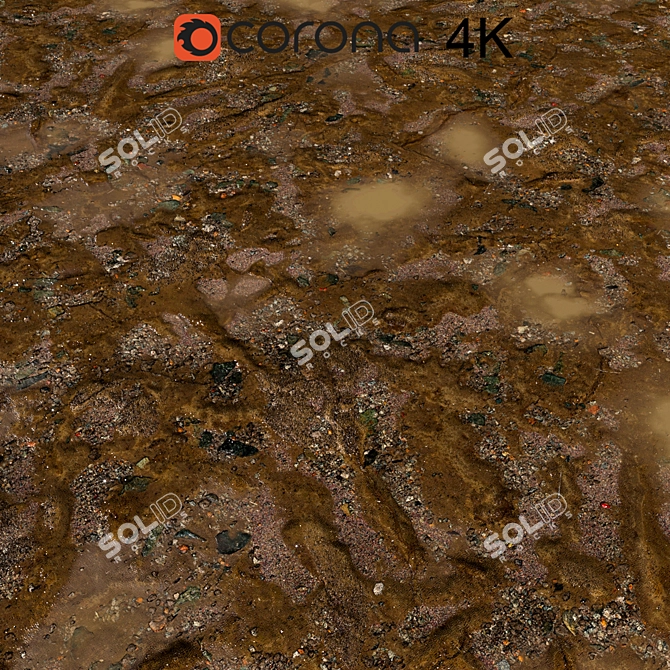 Rainy Mud Soil: High-Res Textures 3D model image 1