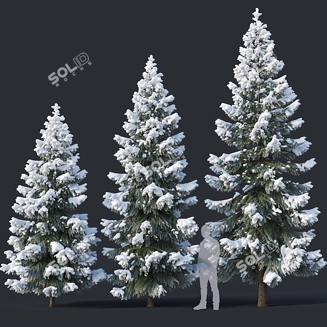 Snow-Covered Fir Tree Collection 3D model image 1