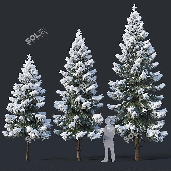 Snow-Covered Fir Tree Collection 3D model image 2