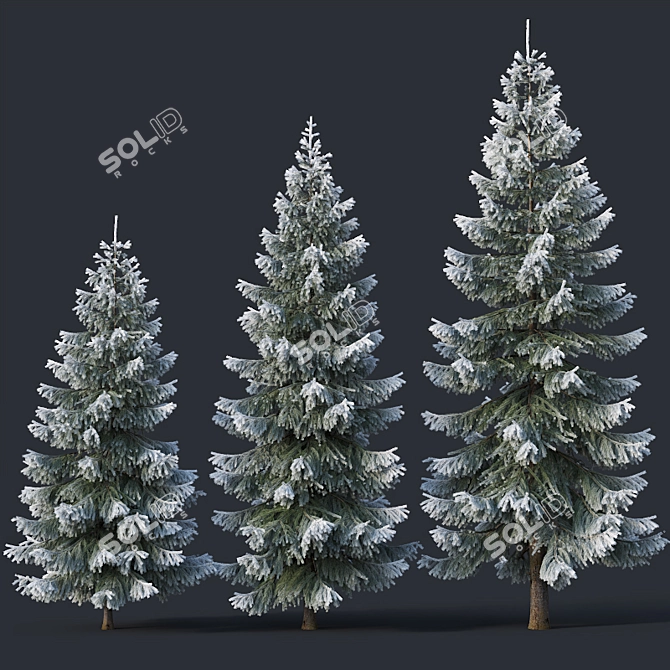 Snow-Covered Fir Tree Collection 3D model image 3