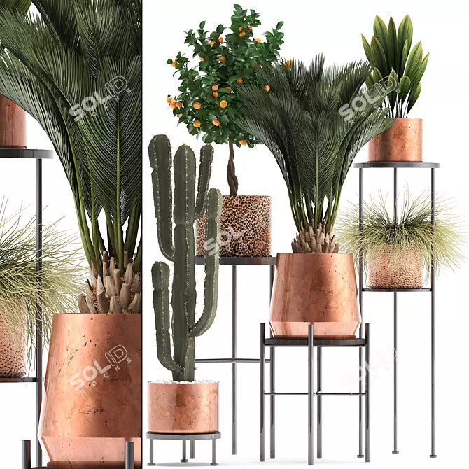 Copper Pot Plant Collection 3D model image 1