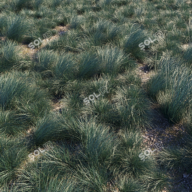 Seascape Grass Kit: Stunning, Low-Maintenance Beauty 3D model image 1