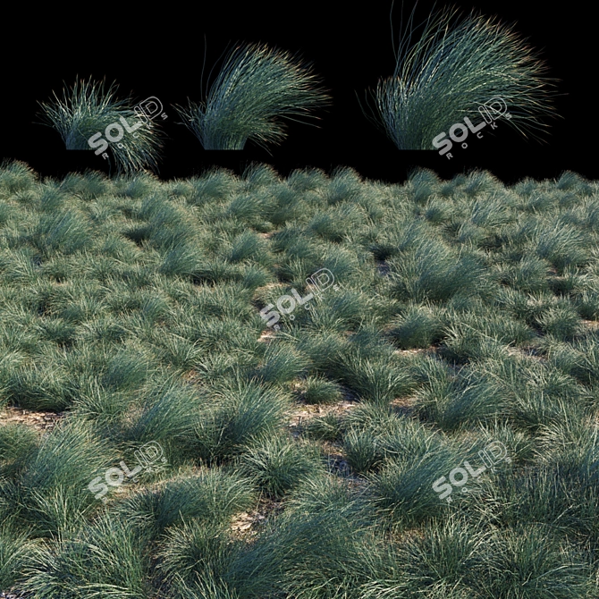 Seascape Grass Kit: Stunning, Low-Maintenance Beauty 3D model image 2