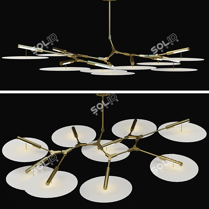 Versatile Branching Discs: 3D Model Kit 3D model image 1