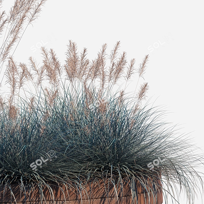 Artistic Blue Fescue UF160 Pot 3D model image 2