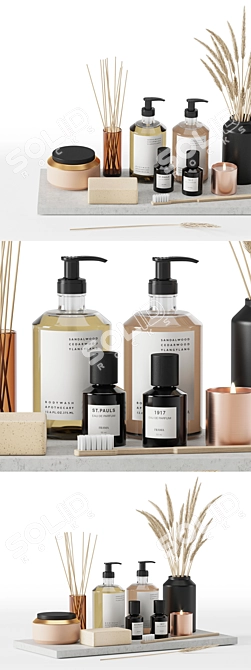 Elegant Bathroom Set: Frama Bodywash, Lotion, Soap 3D model image 2