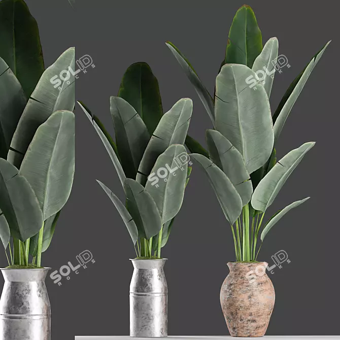 Tropical Bliss: Banana Palm Planter Set 3D model image 1