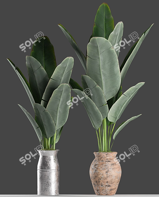 Tropical Bliss: Banana Palm Planter Set 3D model image 2