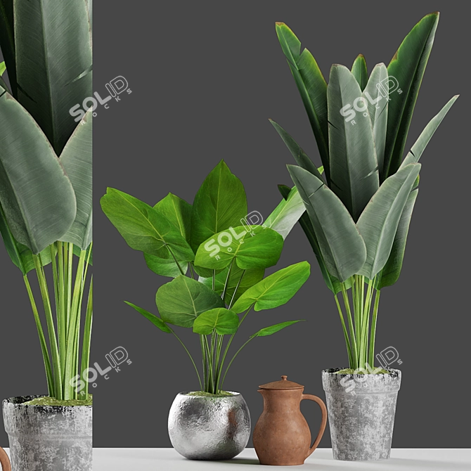 Tropical Banana Palm Plant with Vintage Pot 3D model image 1