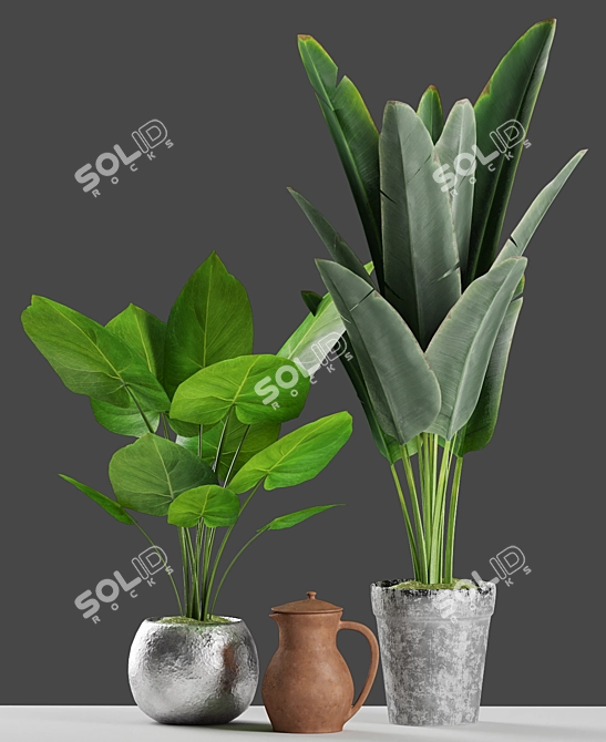 Tropical Banana Palm Plant with Vintage Pot 3D model image 2