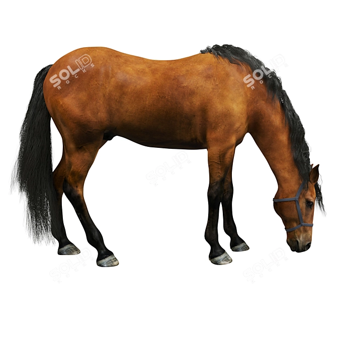 PBR Horse Model 3D model image 1