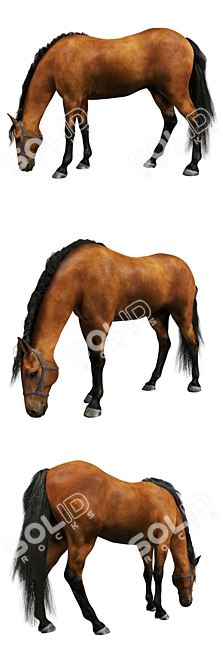 PBR Horse Model 3D model image 2