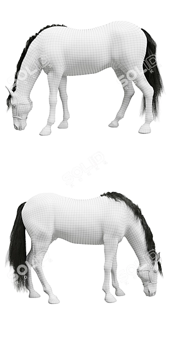 PBR Horse Model 3D model image 3