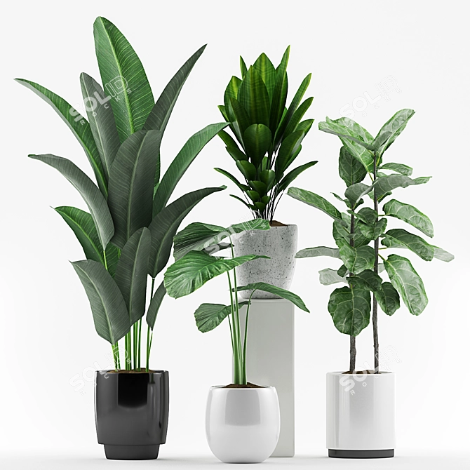 Colorful Plant Collection - 127 Varieties 3D model image 2