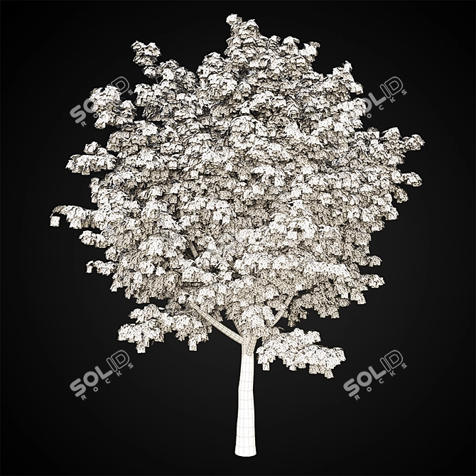  Majestic Maple Tree 3D model image 2