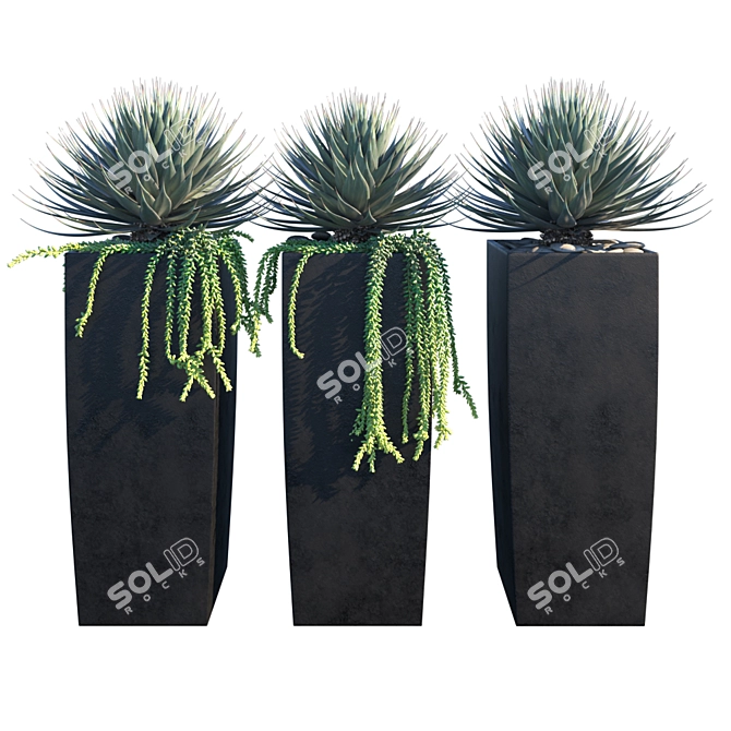 Stylish Agave Pots 3D model image 1