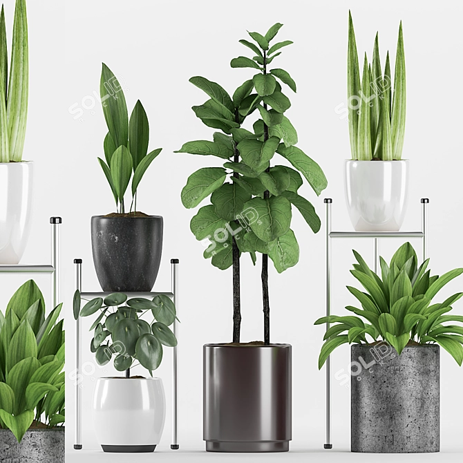 Assorted Plants in Stylish Pots 3D model image 1