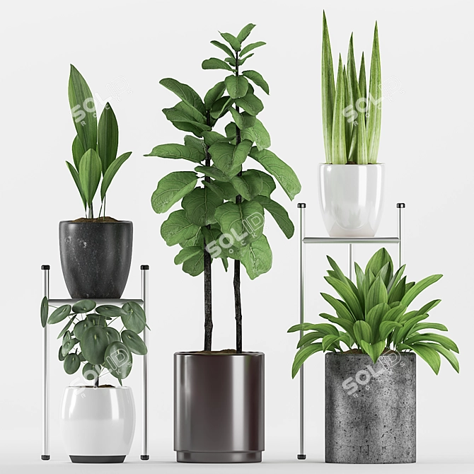 Assorted Plants in Stylish Pots 3D model image 2