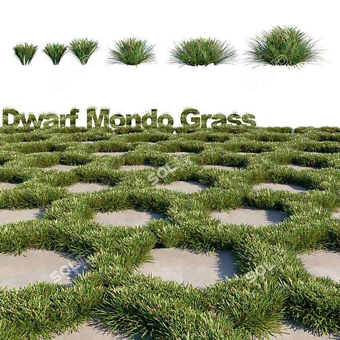 Lush Mondo Grass: Dual Corona Setup 3D model image 1