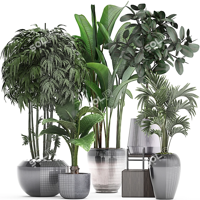 Exotic Plant Collection 3D model image 3