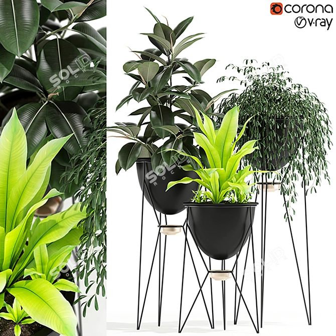 Exquisite MADRE SELVA GRANDE Plants 3D model image 1