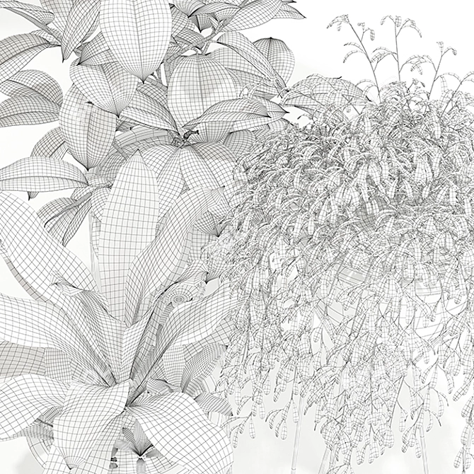 Exquisite MADRE SELVA GRANDE Plants 3D model image 3