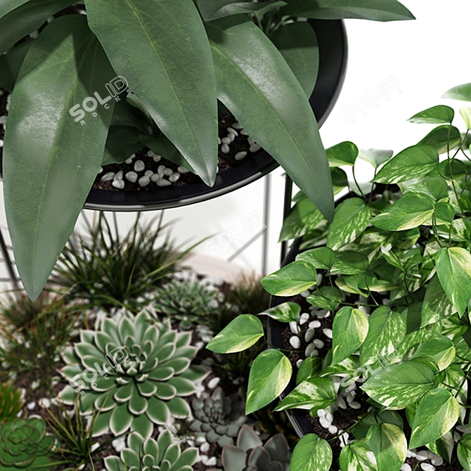 Arctic Flora: Exquisite Plant Collection 3D model image 2