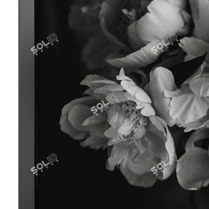 Contemporary Black & White Floral Set 3D model image 2