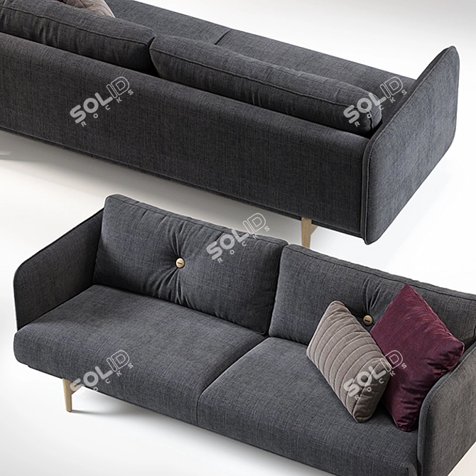 Contemporary Hold Sofa | Sleek Design | PBR Materials 3D model image 2