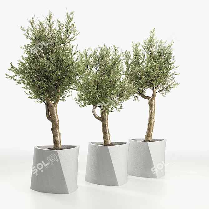 Muxart Bilbao: Contemporary Stone Planter 3D model image 2