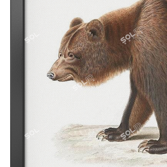 Modern Wild Animals Art Set 3D model image 2