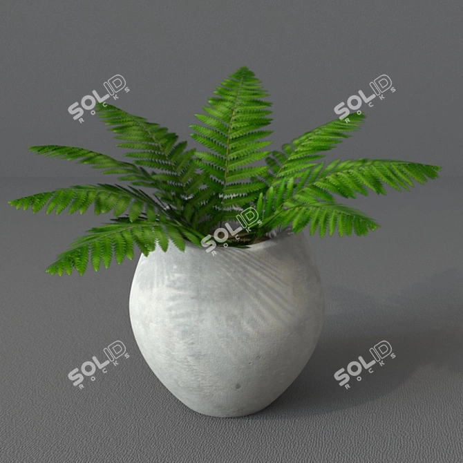 Nature's Charm: Verdant Fern 3D model image 1