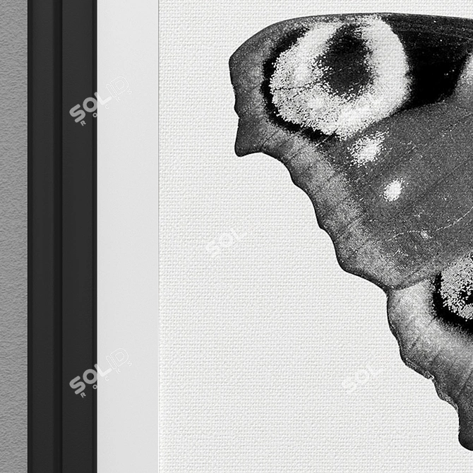 Elegant Monochrome Butterfly Art 3D model image 3