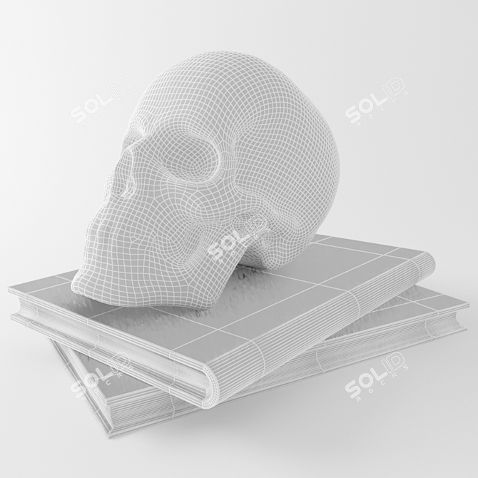 Skull Book Combo 3D model image 2