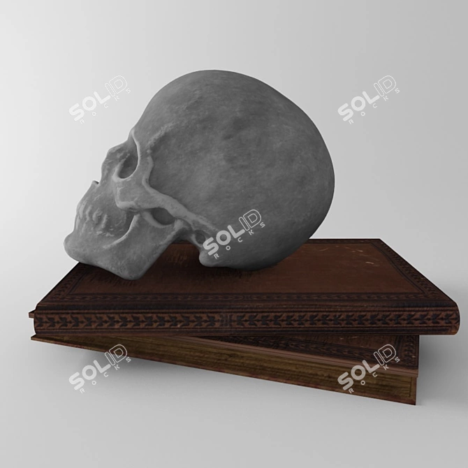 Skull Book Combo 3D model image 3